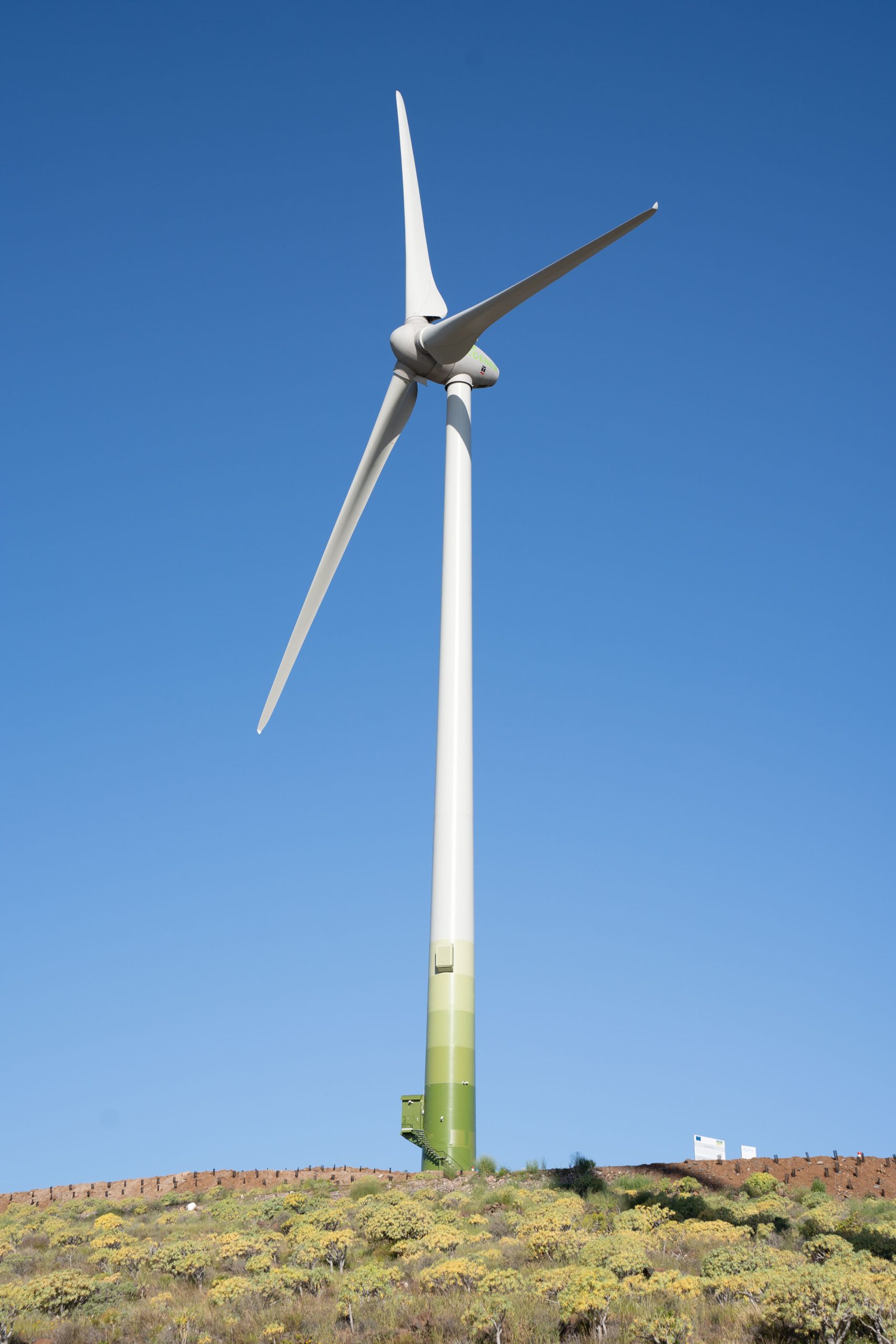 Jedey Wind Farm